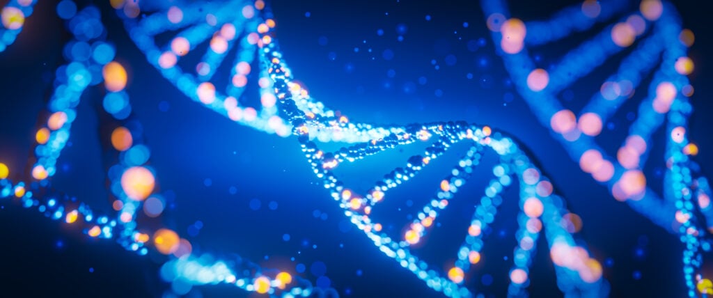 The US BIOSECURE Act Becomes Law: Implications for Collaborations with “Biotechnology Companies of Concern”