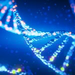 The US BIOSECURE Act Becomes Law: Implications for Collaborations with “Biotechnology Companies of Concern”